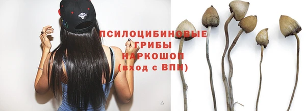 прущие крисы Медвежьегорск