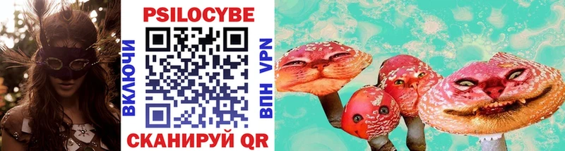 закладки  Анжеро-Судженск  Псилоцибиновые грибы Cubensis 
