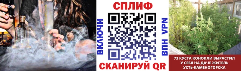 Конопля план  Анжеро-Судженск 